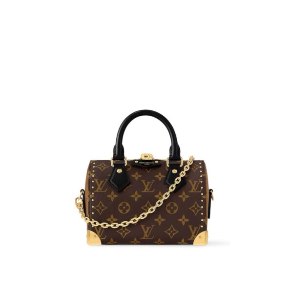 Louis Vuitton Speedy Trunk 20 Bag