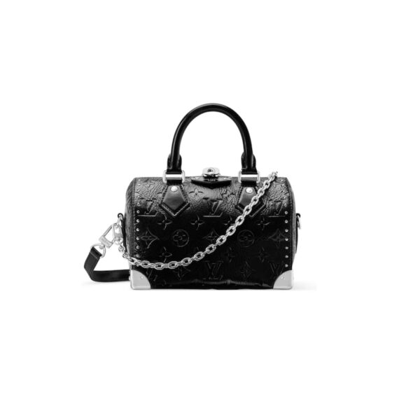 Louis Vuitton Speedy Trunk 20 Bag